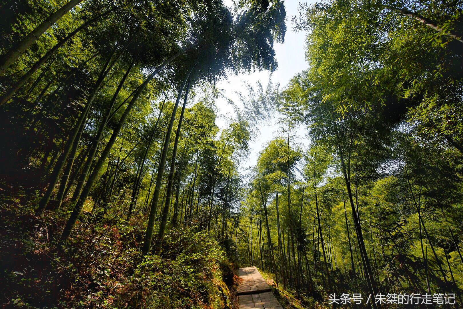 六安宝藏景点,安徽六安九寨沟风景