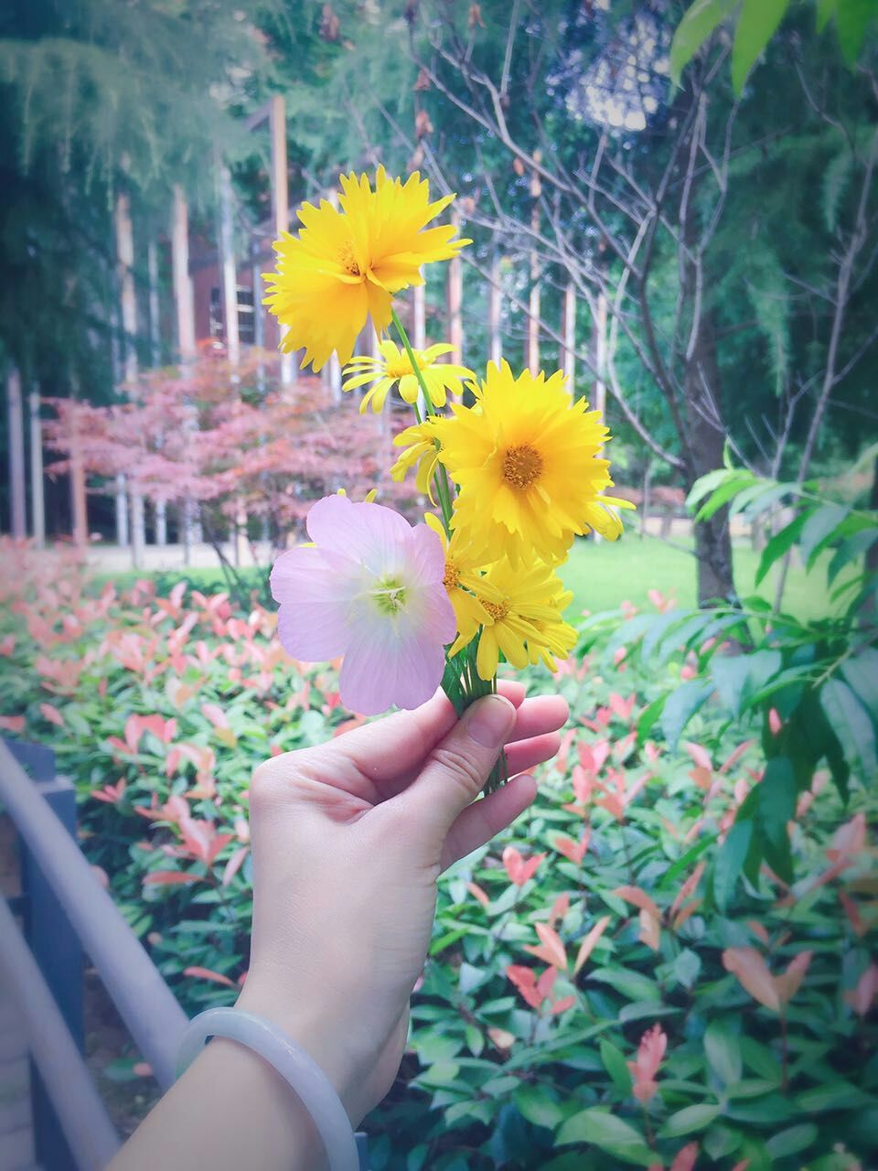 自然力的本质,关于自然力