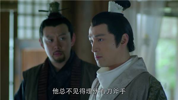 琅琊榜梅长苏蔺晨争辩,琅琊榜梅长苏死后蔺晨的一个决定