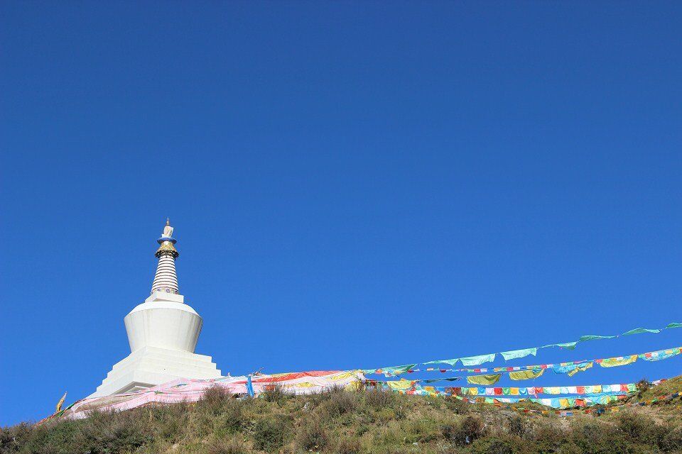 从稻城亚丁回重庆开车推荐路线,重庆到稻城亚丁开什么车最好