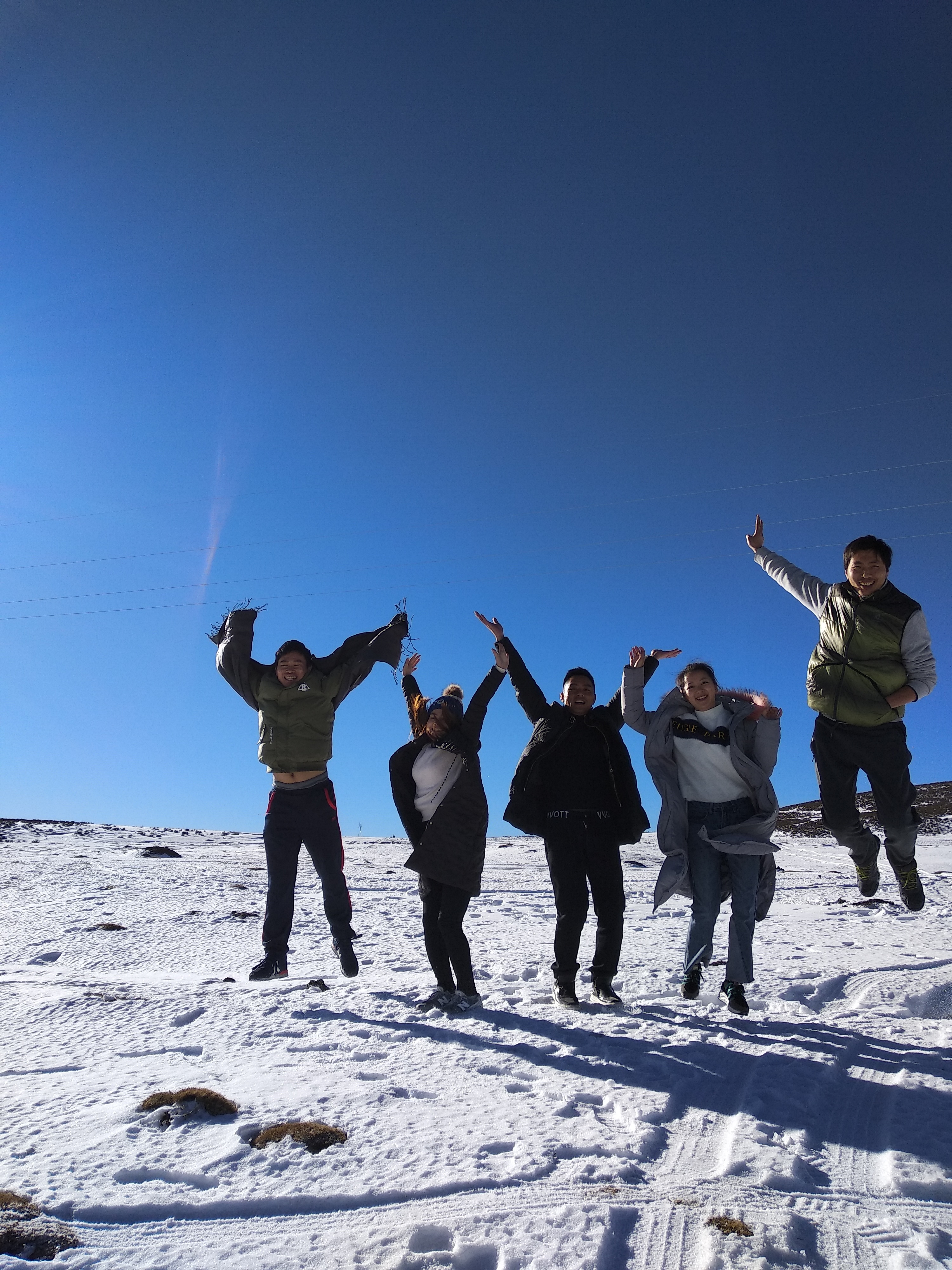 从稻城亚丁回重庆开车推荐路线,重庆到稻城亚丁开什么车最好