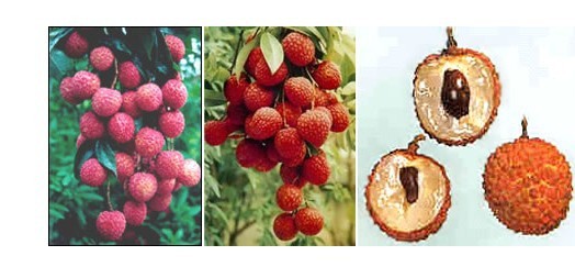 美丽苍南,美丽浙江温州瑞安