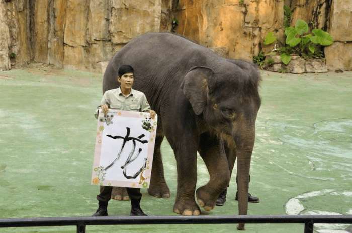 比广州长隆公园还大的公园,比长隆更好玩的有哪些地方