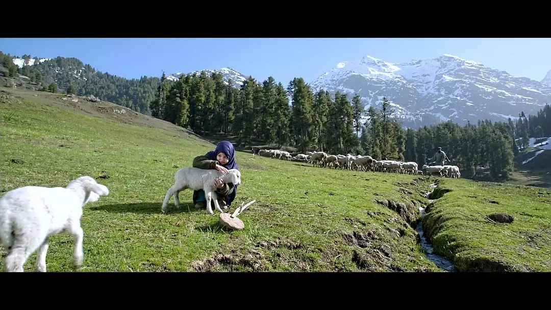 10部必看的印度电影大片,十部必看印度神片