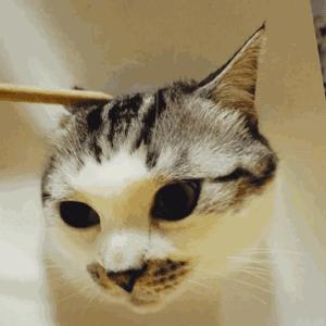 绘画中的一切都是假的,创意绘画是不是骗人的