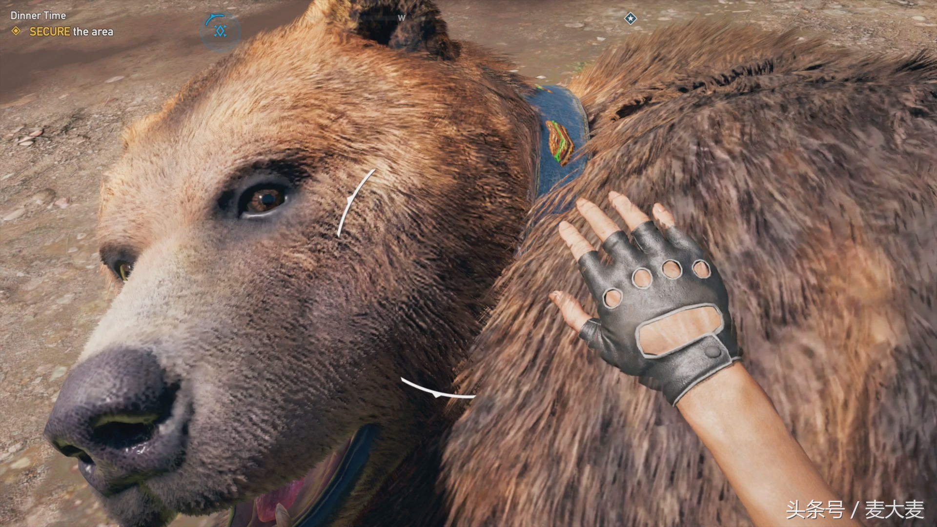 孤岛惊魂5黄金版攻略单机,麦大麦的游戏推荐