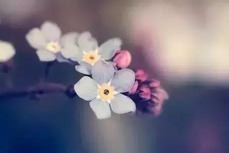 风寒感冒泡脚方和穴位疗法,冬季感冒泡脚加什么药效果好