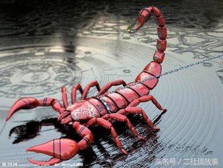 民间故事蝎子传说,民间故事装死躲过一劫