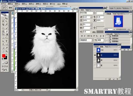 抠图抠不干净ps用哪个工具,ps抠图和ai抠图区别