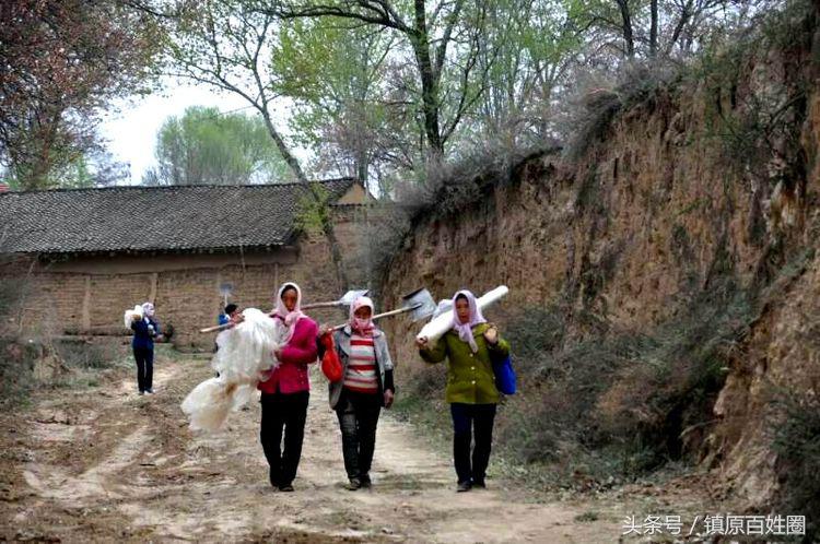 希望的田野唱谱,希望的田野歌曲唢呐