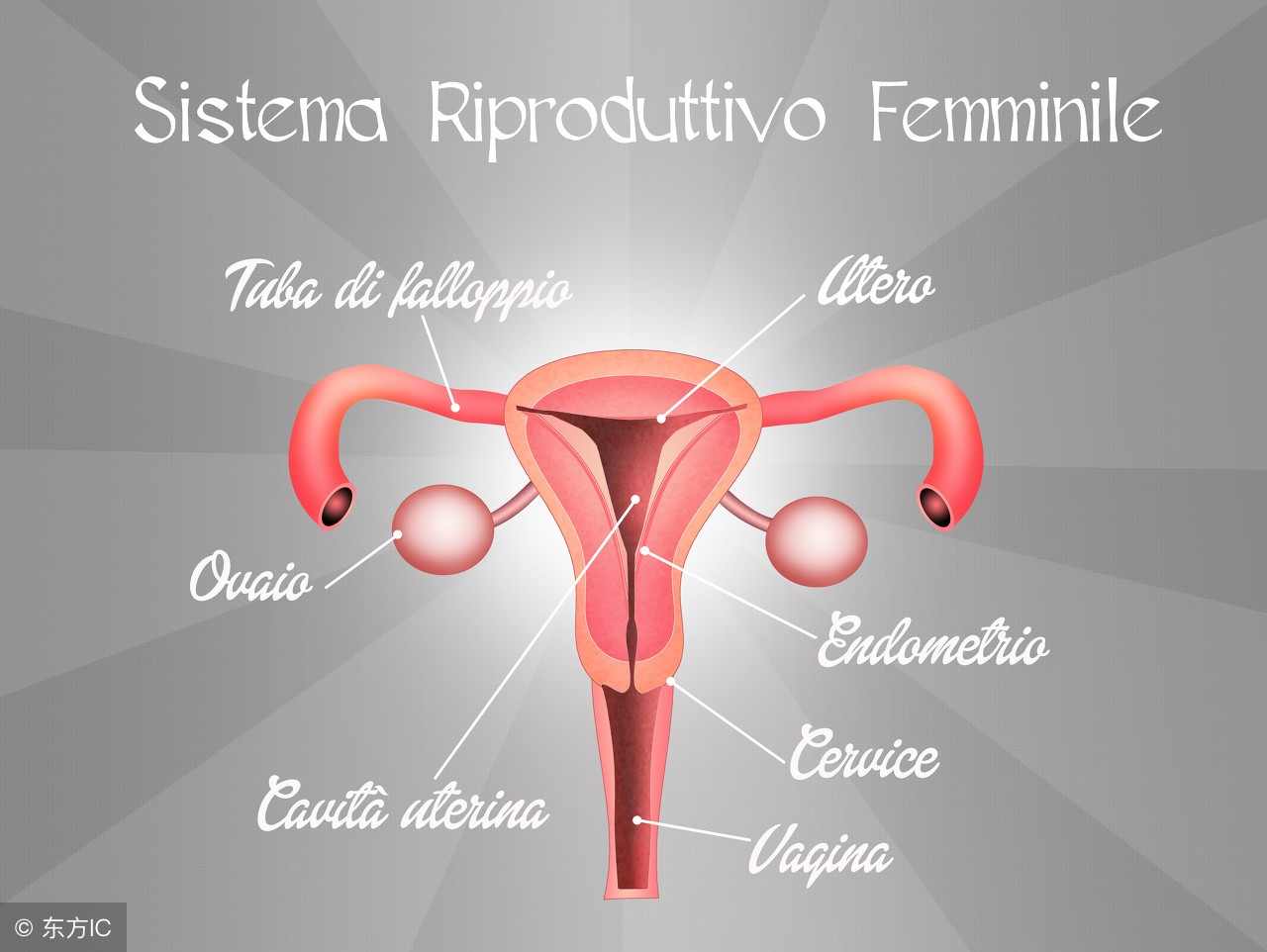 预防子宫癌症最好的方法,老年人子宫癌晚期症状有哪些