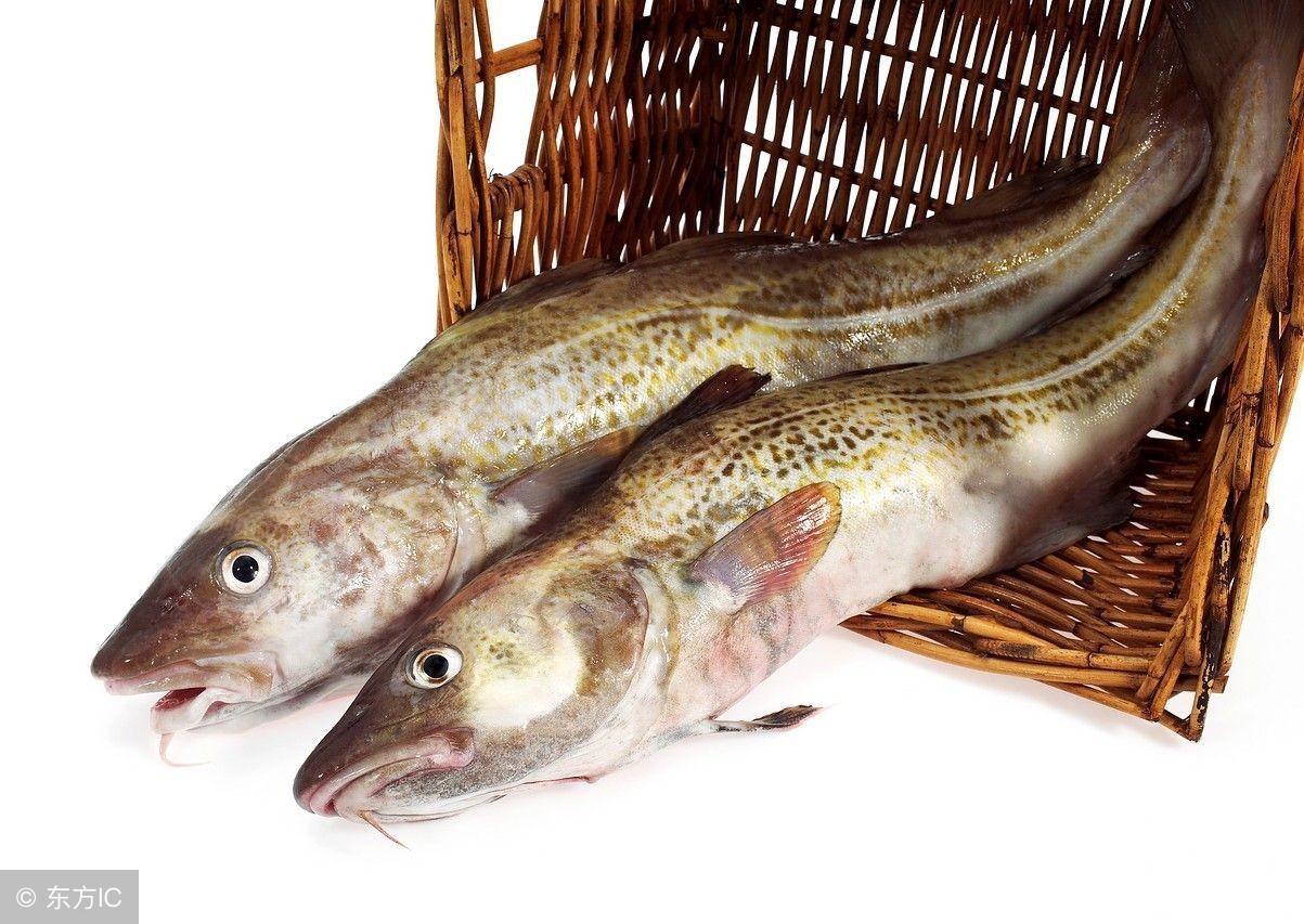 胶原蛋白到底怎么选,胶原蛋白怎么选教你一招轻松辨别