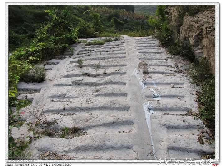 清明游莱芜莲花山,莱芜旅游十大必去景点