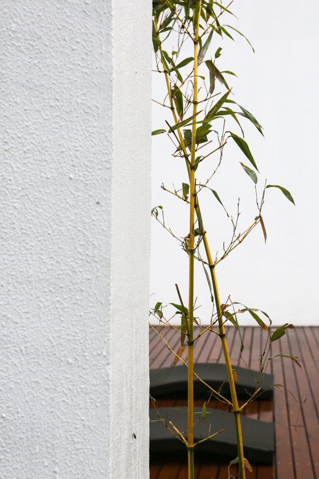 我的名字叫：鱼缸