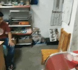 哈士奇是真的不听话吗,哈士奇到底能二到什么程度