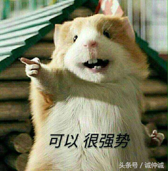 足球和女友二选一,女朋友和足球哪个更重要