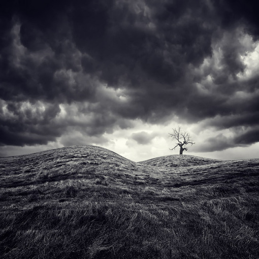 一花一世界一叶一菩提本来无一物,一花一世界一叶一菩提