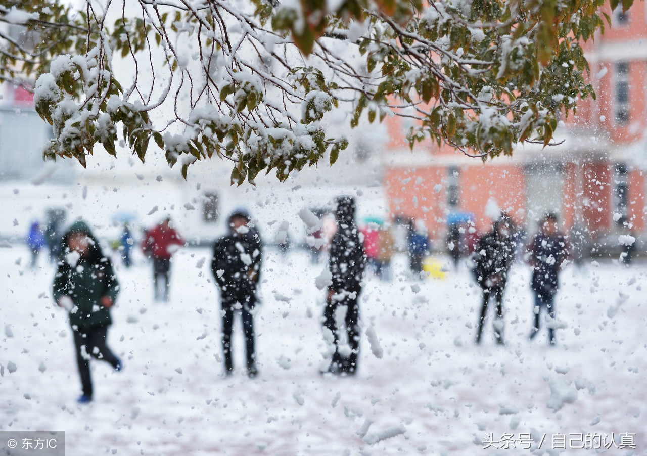 校园风景作文400字四年级,校园一处风景的作文400字