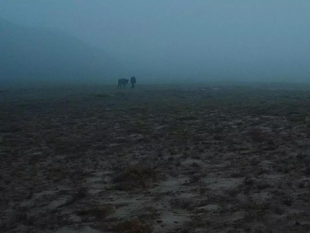 四月你最期待的电影,四月值得期待的电影清单