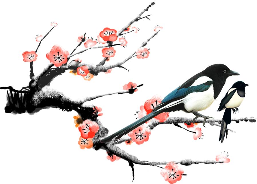 十二生肖原来是六对搭档,十二生肖和谁最配合