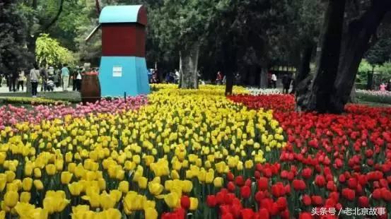 北京地铁旅游详细攻略图,北京地铁旅行攻略图