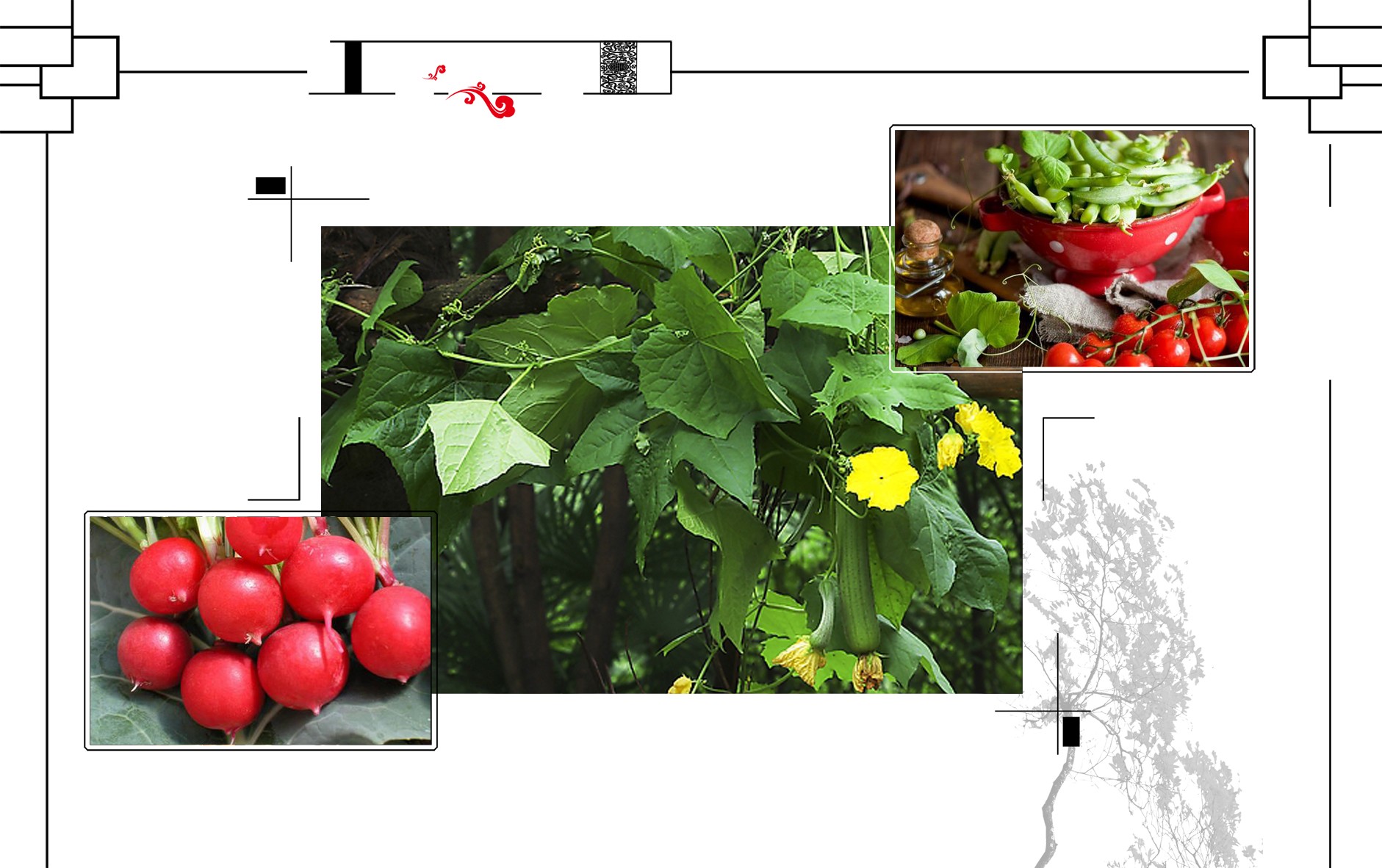 白石山酒店民宿排行榜,百丈山居精品民宿度假酒店