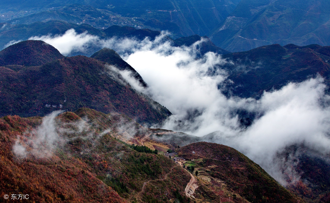 人教版初中语文必背古诗词,初中语文新课标必背古诗文有哪些