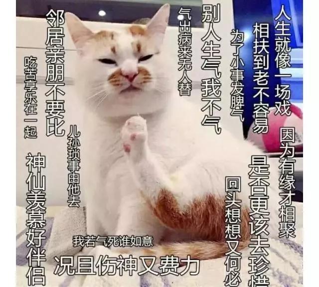 法式奶奶鞋火了超时髦必爆,佛系复古奶奶鞋全新演绎摩登美学