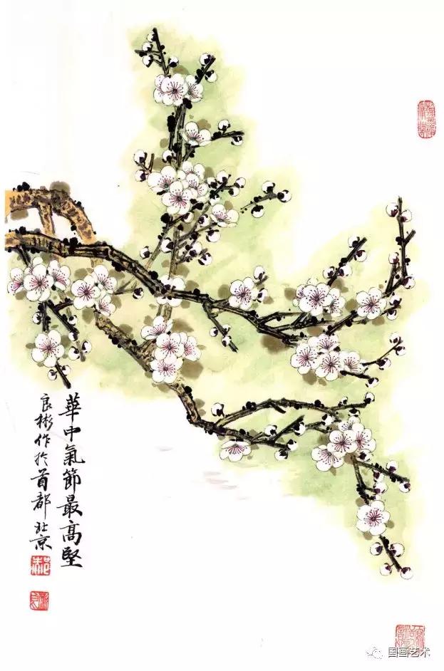 彩墨梅花国画作品欣赏,彩墨梅花画法步骤