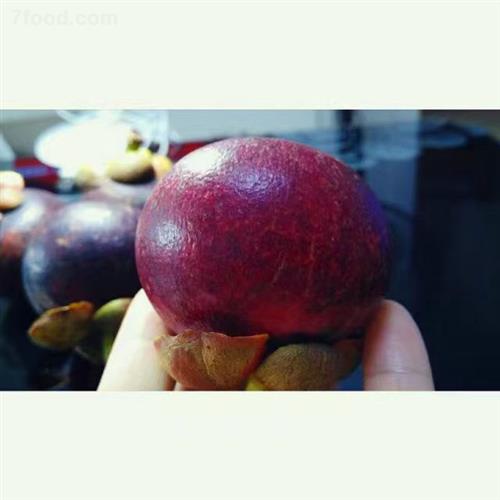 山竹醇的功效与作用及禁忌,野生山竹根功效与作用