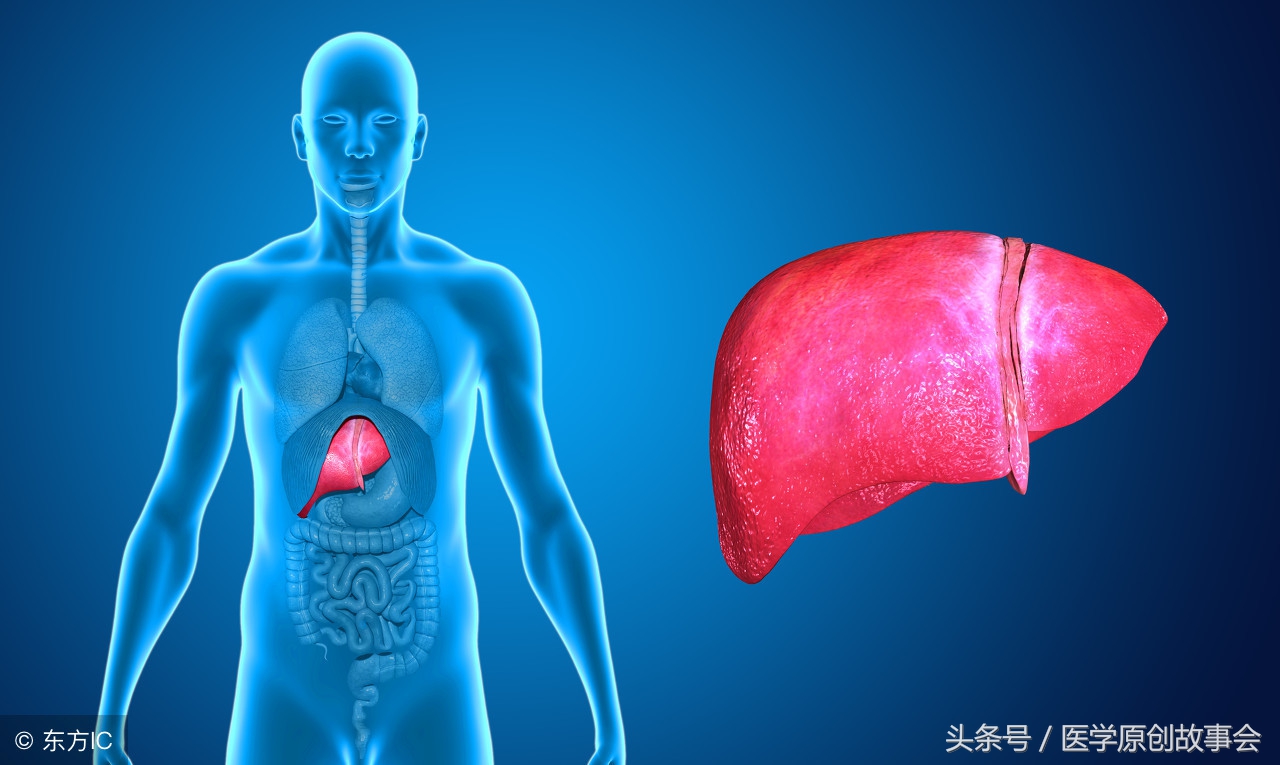 四种药物会损伤肝脏,诱发脂肪肝,服药前请一定咨询医生!