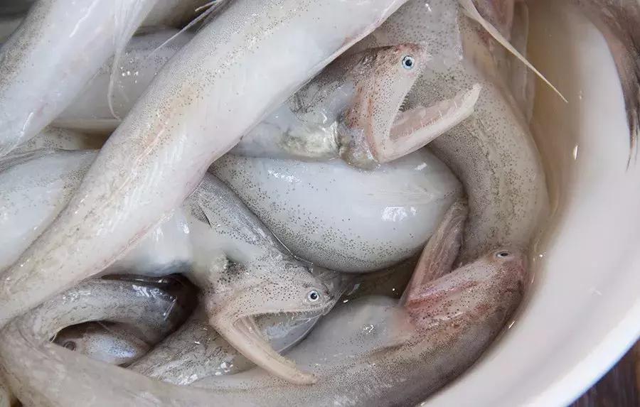 缃戜笂涔扮殑绮惧搧鐚倝,缃戜笂娣樺埌鐨勫ソ涓滆タ