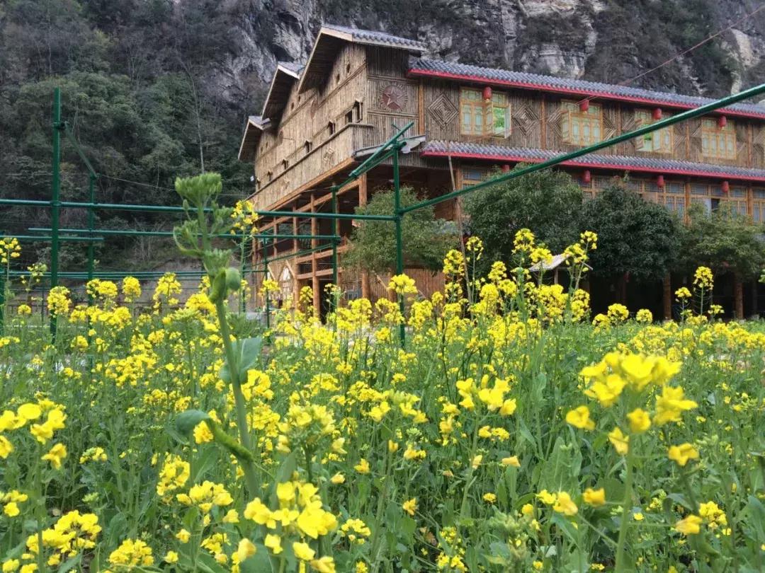 清明踏春一日游必去景点,踏春赏花景点最美推荐
