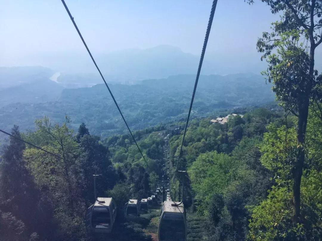 清明踏春一日游必去景点,踏春赏花景点最美推荐
