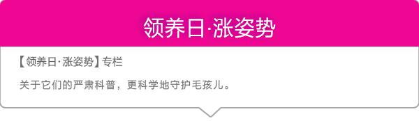 不堪入目，暗访喵届吸毒场所，竟……