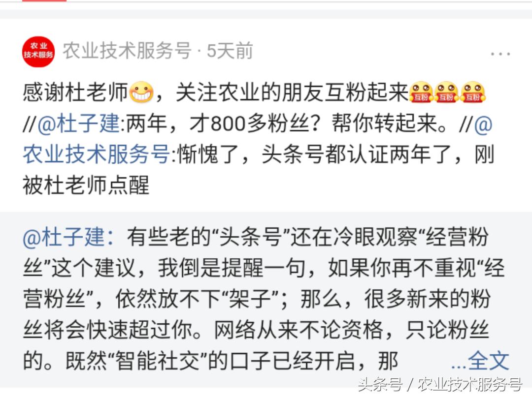 新手头条号怎么涨粉,头条号新规1000粉如何快速涨粉