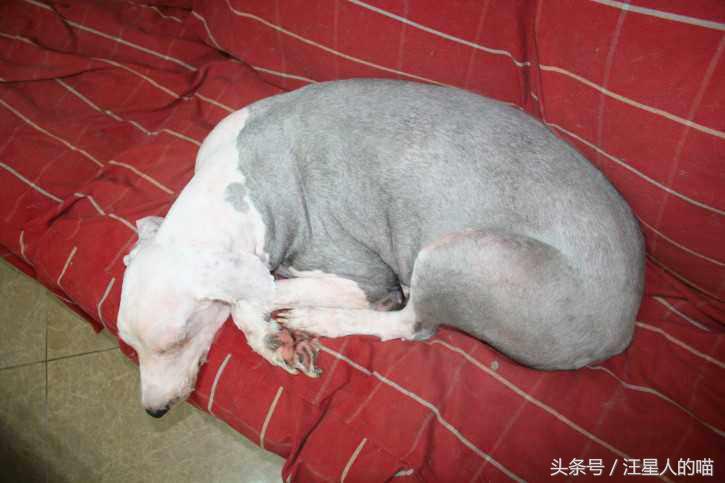 天上没有掉馅饼不要被金钱诱惑,天上没有馅饼掉的都是陷阱