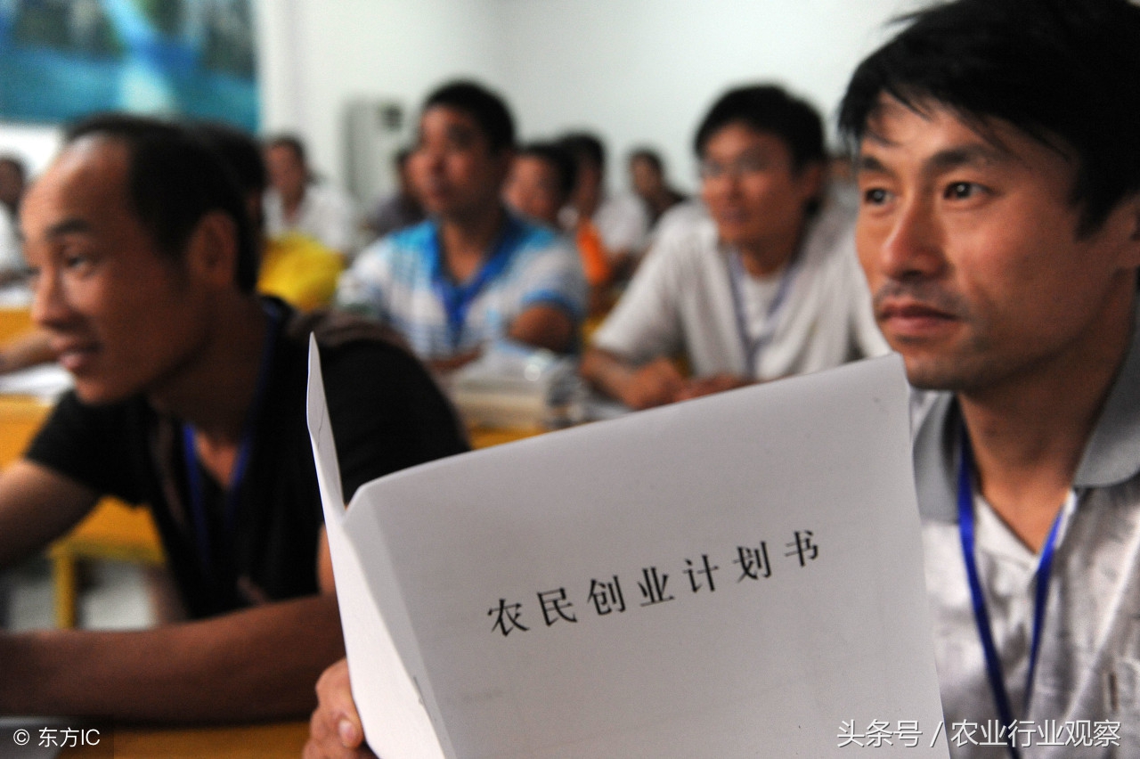 农村创业九个创业好点子,农村创业项目个人创业方案