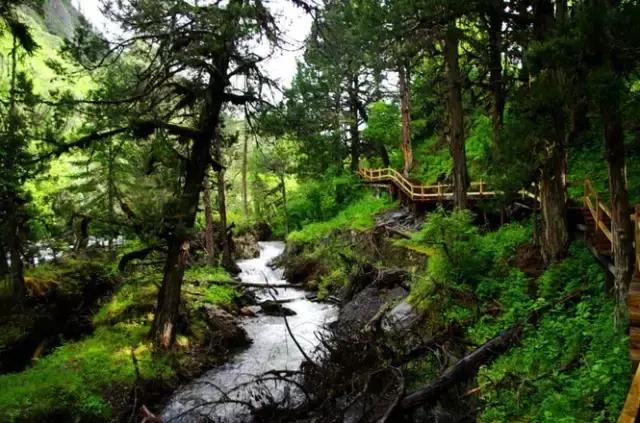 清明假期将至踏春赏花游成热门,清明假期去四姑娘山