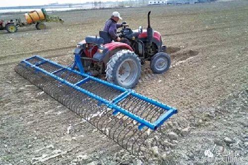 龙草净在棉花田防除龙葵使用技术