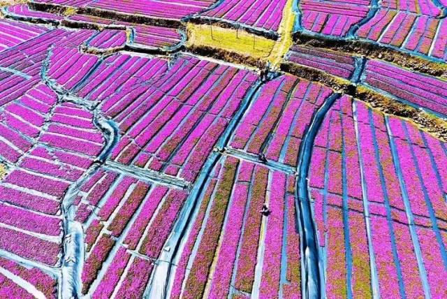 诗意到极致的江南小镇,最有韵味江南小城