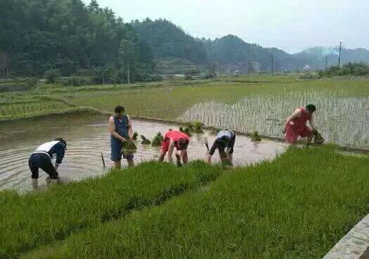 这几年巧家的变化,巧家的生活变化