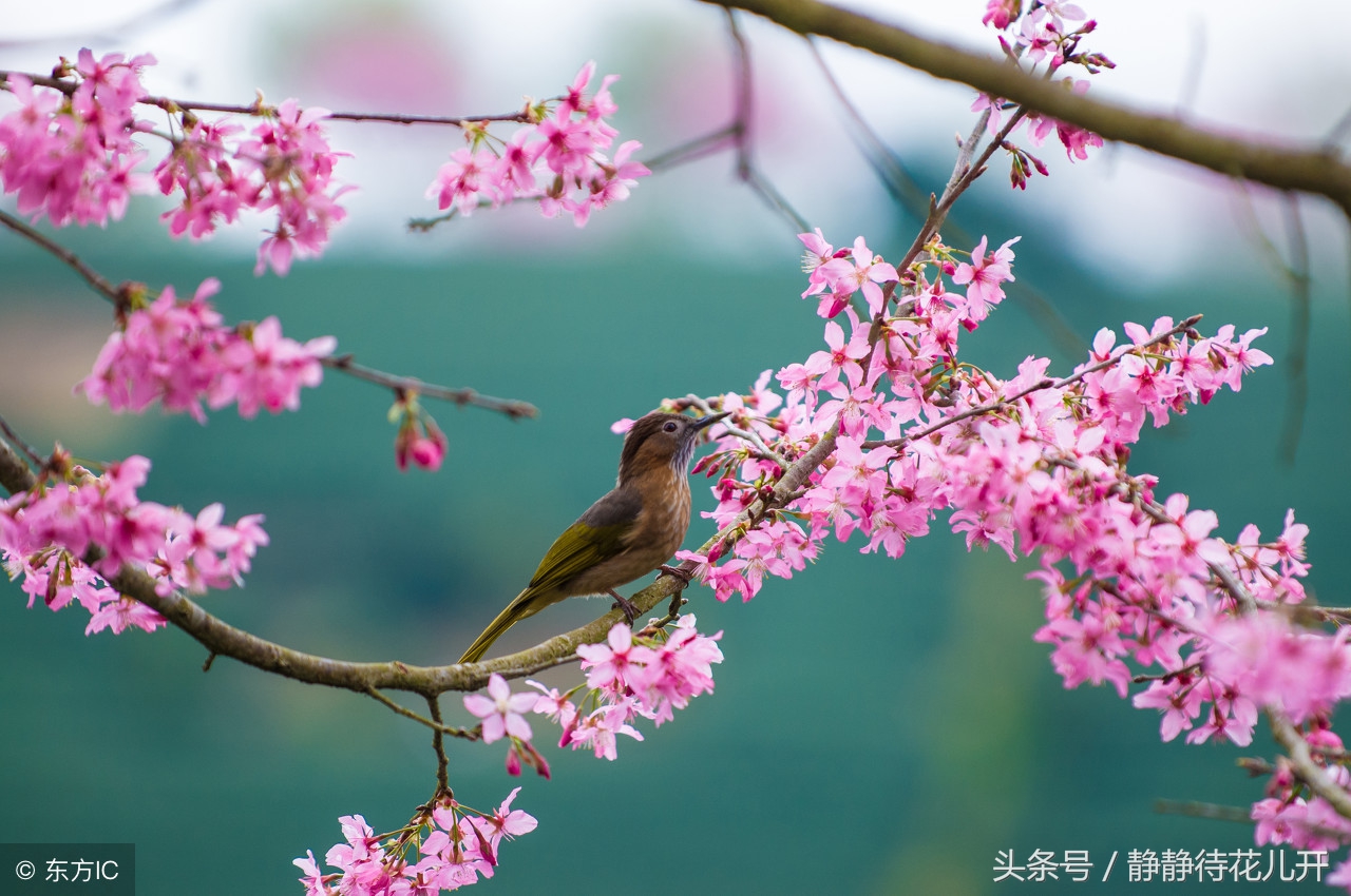 同甘共苦没有共苦何来的同甘,同甘共苦只能同甘不能共苦的图片