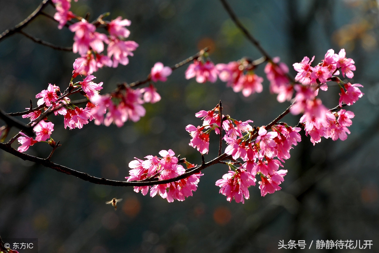 同甘共苦没有共苦何来的同甘,同甘共苦只能同甘不能共苦的图片