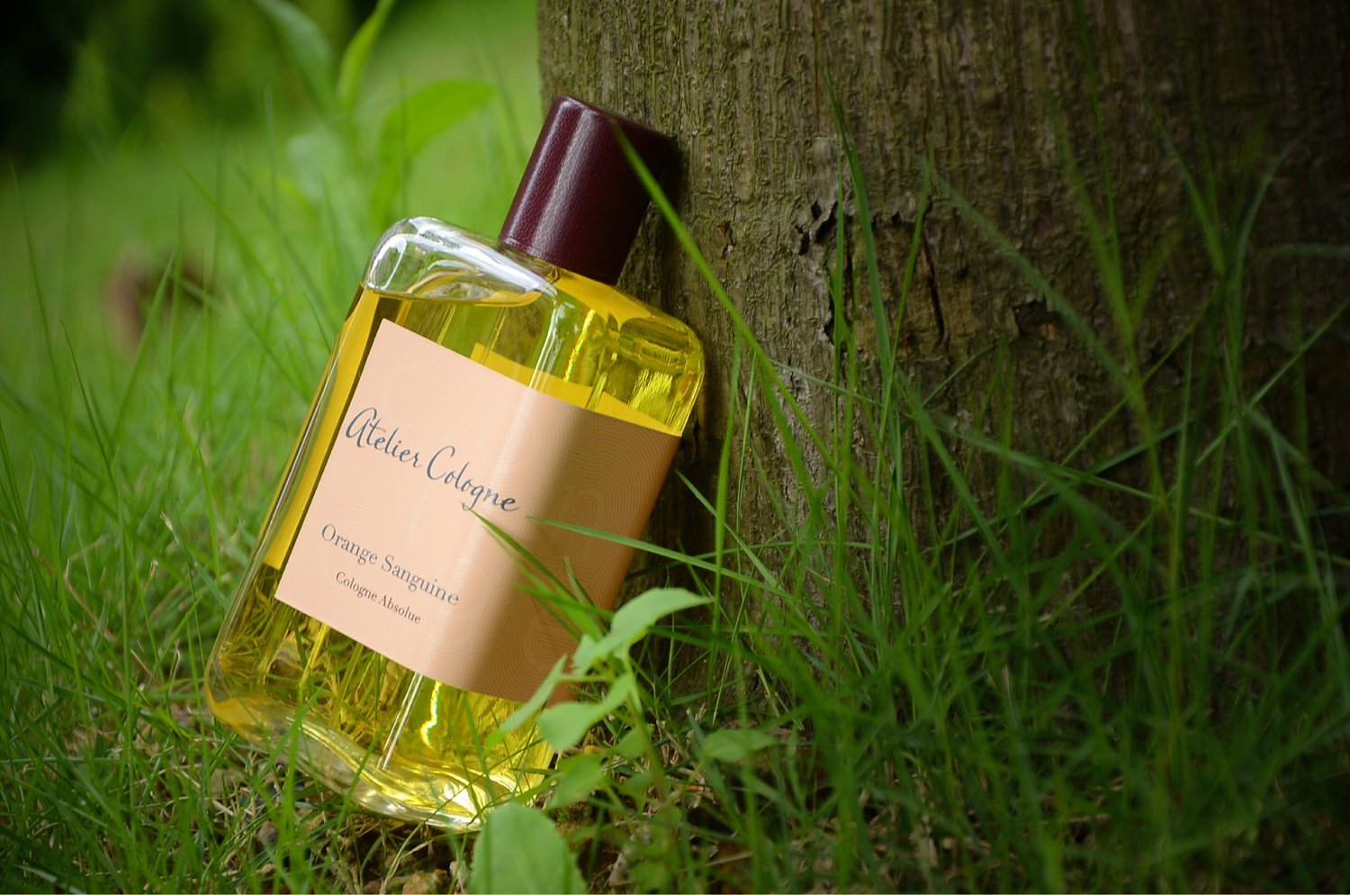 7小瓶香水,小众好闻淡香香水推荐