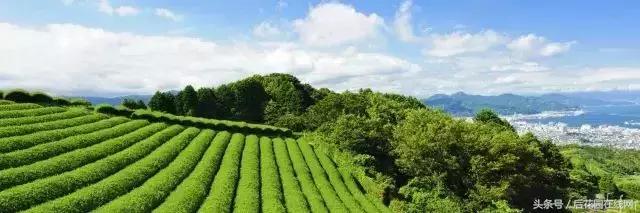 浅论日本文农旅产业超级IP智造系统！