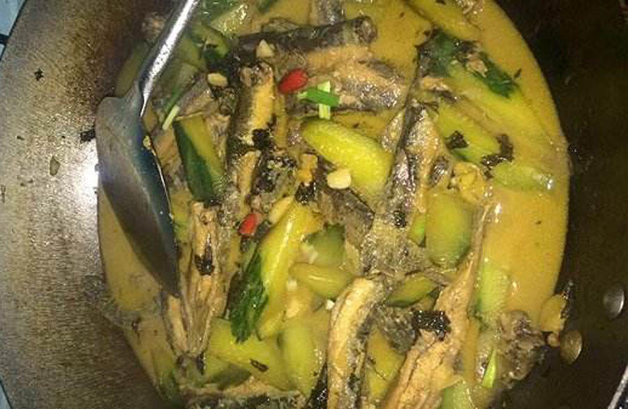 照泥鳅用什么工具,照泥鳅用什么颜色灯光好