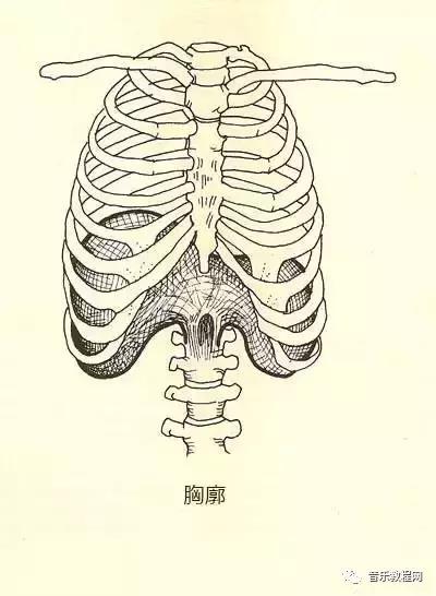 歌手必须懂的30条声乐指导（附声乐基础训练）