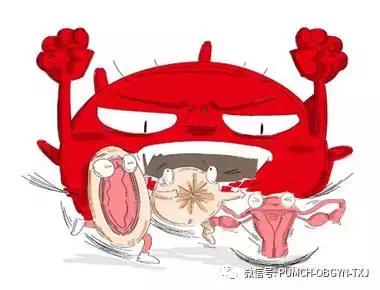 协和医院预约hpv疫苗,hpv九价疫苗可以在私立医院打吗