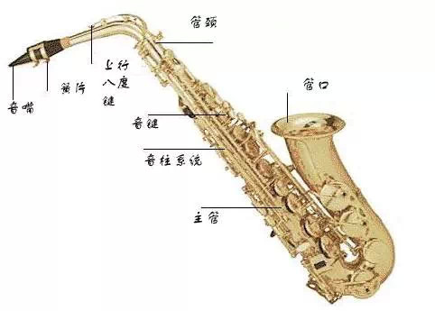 新手学习萨克斯基本入门,新手学习萨克斯基本步骤